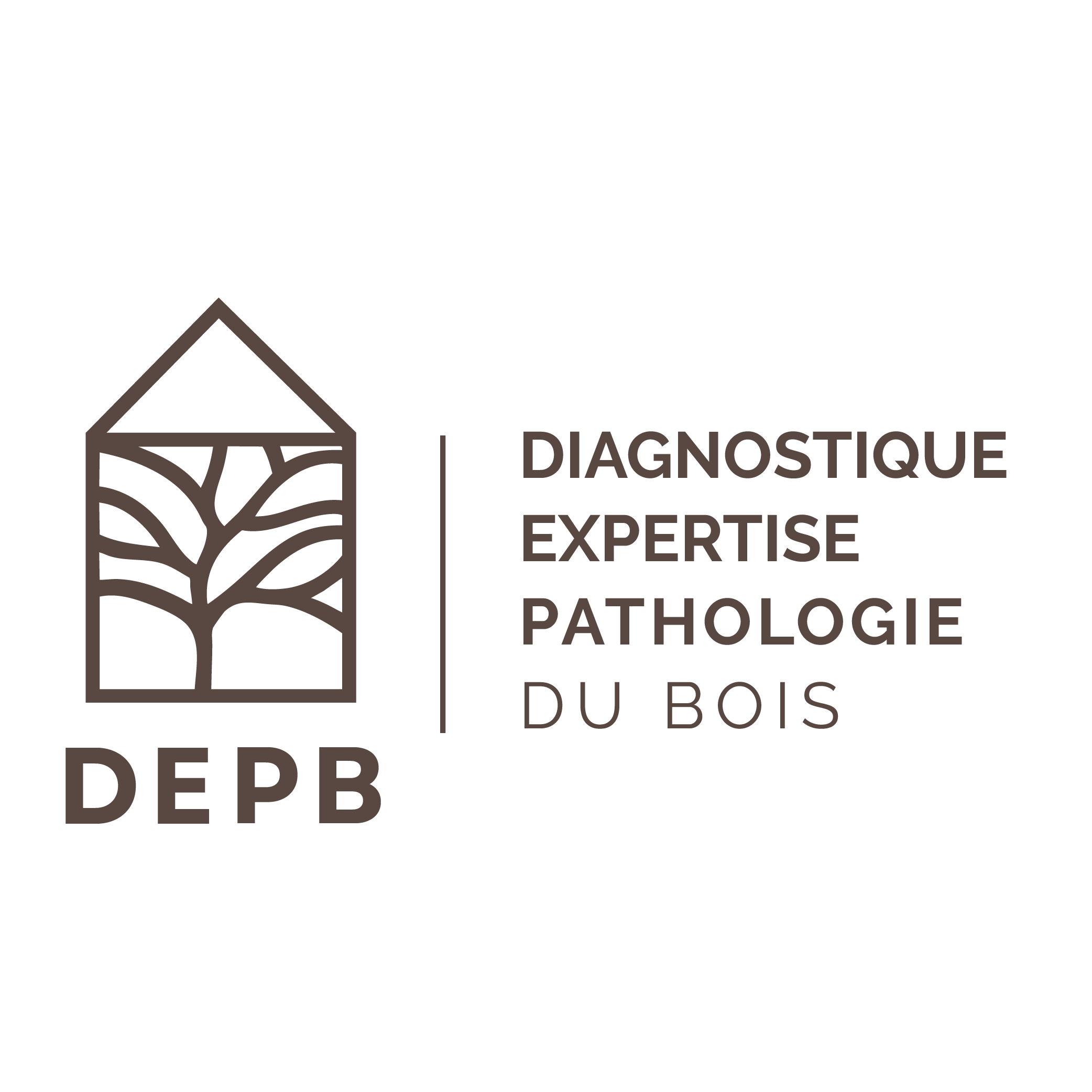 Expertise et traitement des termites et insectes xylophages dans les départements de Rhône-Alpes