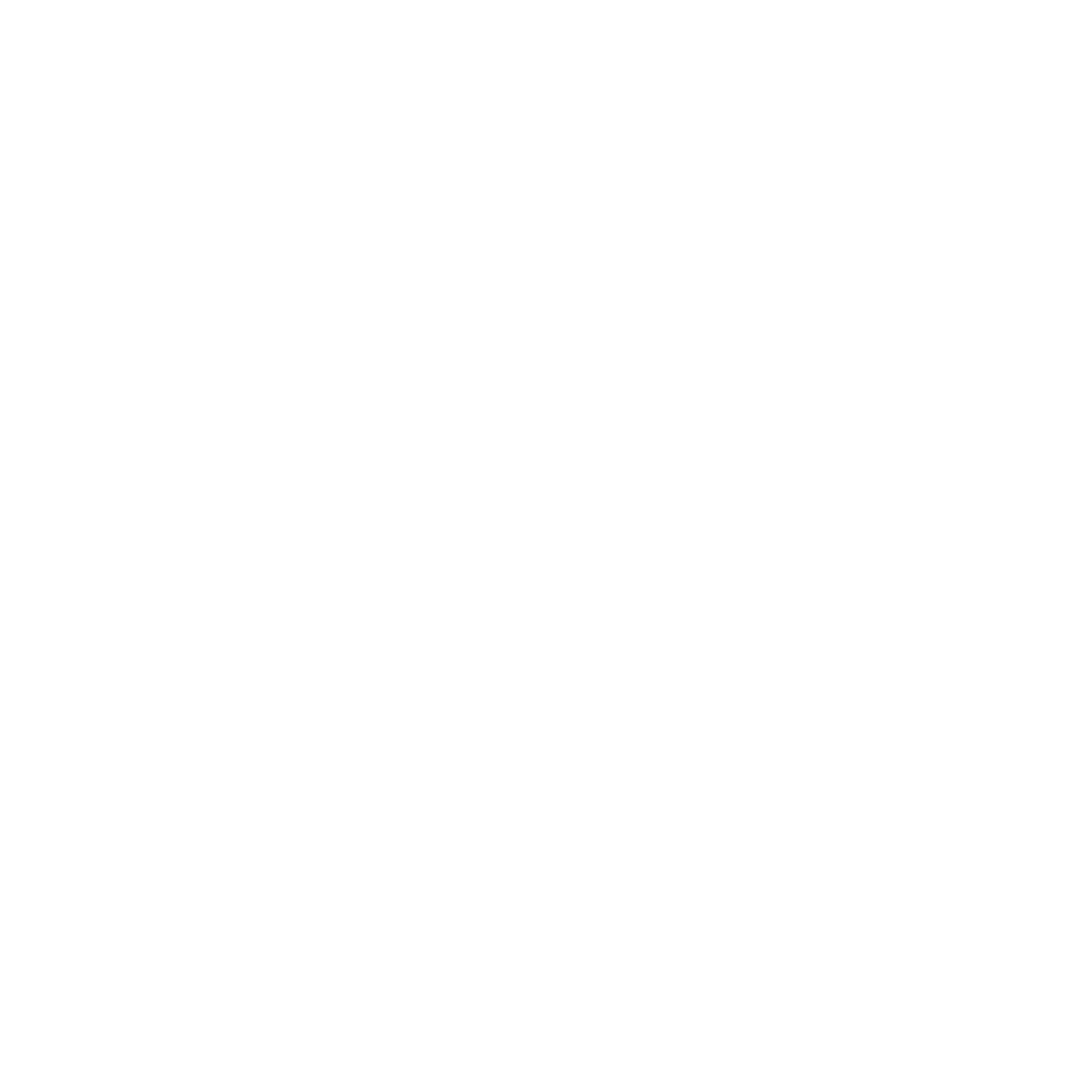 Diagnostic des dégâts causés par les termites et insectes du bois dans la Drôme et régions voisines